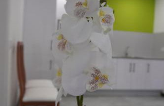 Apartamento Sanin 3 - Foto 1