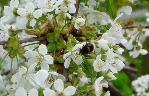 Ferienwohnung Am Walde - Photo 33