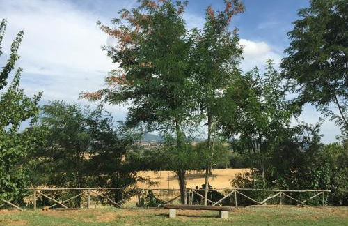 Agriturismo La Carletta - Foto 45