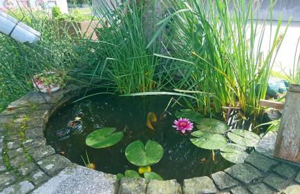 Ferienhof Fenzl - Foto 35