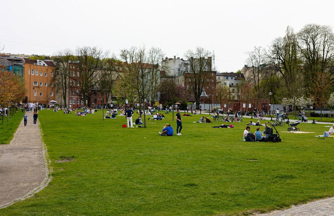 Oro Przy Star wce Gara Wifi - Foto 24