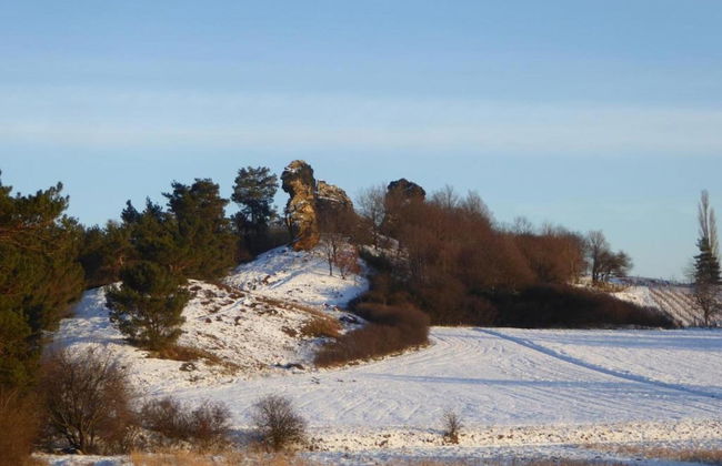 Spacious Apartment in Ballenstedt Harz near Lake - Photo 30