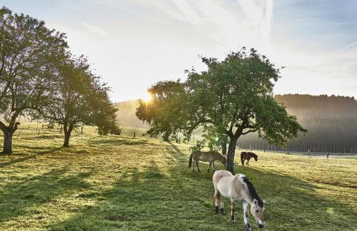 Bio-Ferienhof Höfler - Foto 15