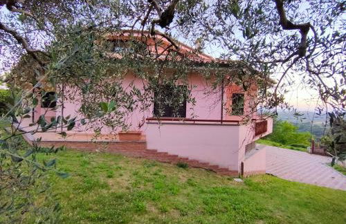 Bella Vista - Belvedere - Foto 10