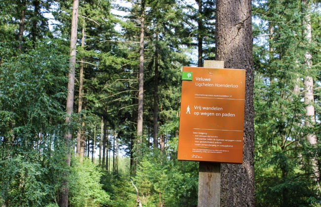 Spacious Villa in Hoenderloo - Foto 33