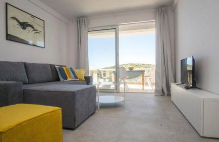 Vila Visnjic - Foto 47