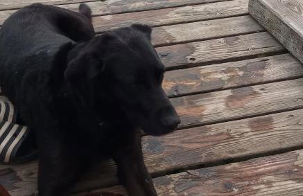 Fischstübchen Neeberg Fewo 5 – Bootshaus - Foto 60