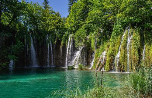 River Rose - Foto 19