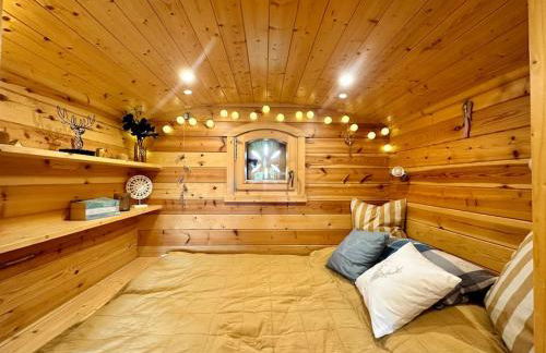 Zauberwagen am Geiseltalsee - Foto 6