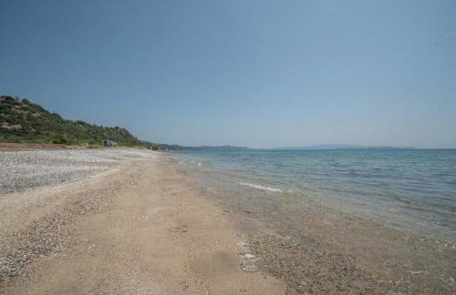 Casa Del Olivar - Foto 5