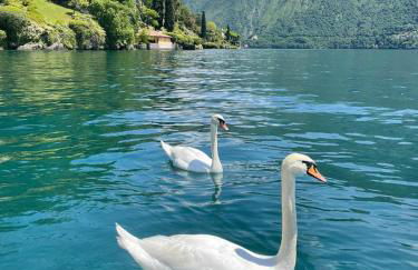 CasaCamelia 35, 3 BDRM with view Lake Como - Foto 42