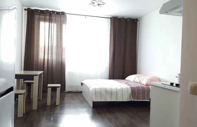 LOFT STUDIO Nosovihinskoe 25-5 - Foto 1