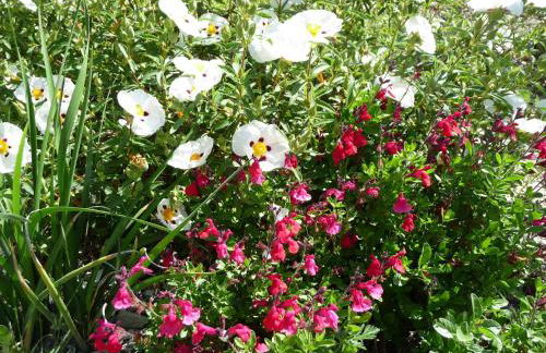 Le Mille Fleurs - Foto 27