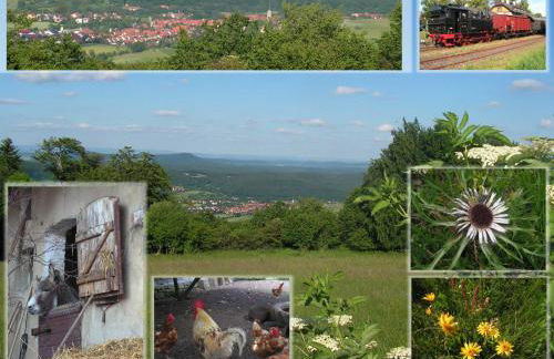 Ferienwohnung Zur Eisenbahn - Foto 10