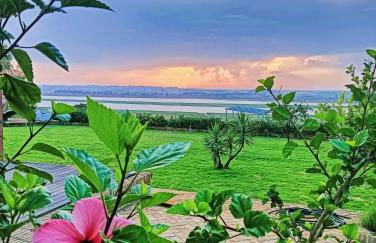 Finca Mis Morenas - Foto 31