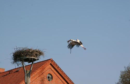 Apartment im Kranich Hotel - Foto 18