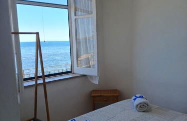 Le due conchiglie - Foto 10