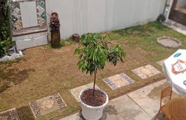 Recanto Monte Alegre - Foto 22