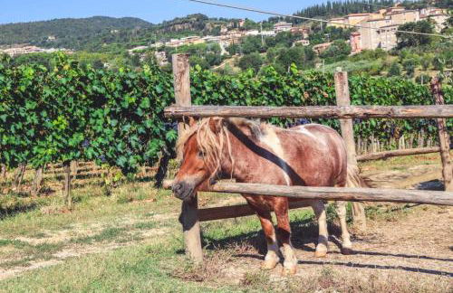 Agriturismo La Pietriccia - Foto 34