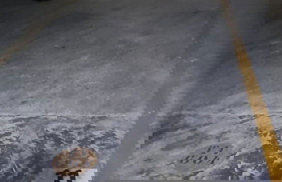 Velutti Lua de Mel - Penha-SC - Foto 37