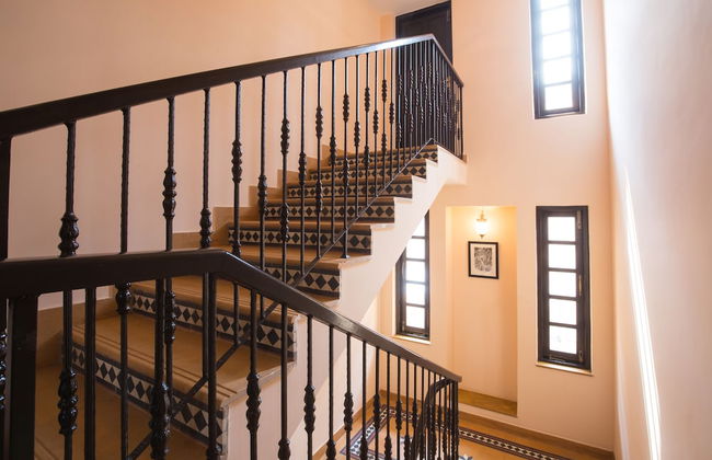 ACCOVAH Galeria - Photo 20