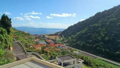 Ribeira Roots Residence - Photo 1