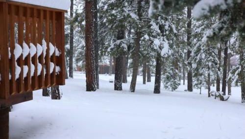 Cabin in the National Forest near Brian Head, Bryce Canyon and Zion - Foto 3