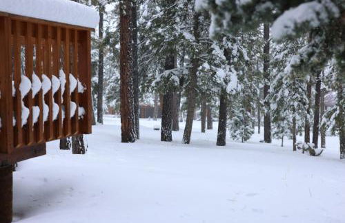 Cabin in the National Forest near Brian Head, Bryce Canyon and Zion - Foto 3