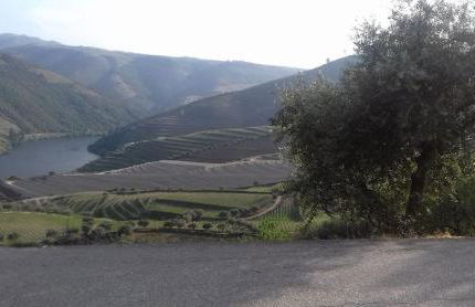 Casinha de Lamares - Foto 12