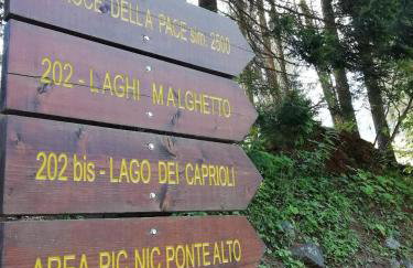 Vetrate sul bosco - Foto 30