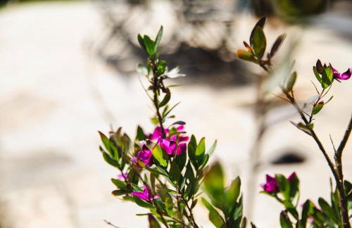 L'effet mer Maison rénovée lumineuse tout confort belle terrasse grand jardin clos sans vis à vis parking jeux pour enfants 5 mn à pied de la plage d'Asnelles et centre bourg - proche Bayeux au coeur des plages du débarquement - Foto 30