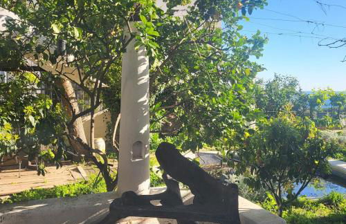 Apartment Bonbon - Posillipo Napoli - Photo 21