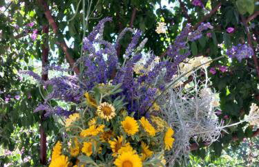 Kuća za odmor Skalina - Sea view - Photo 3