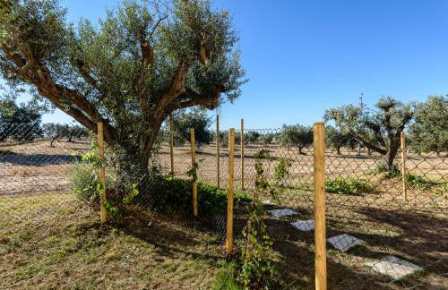 Agriturismo Casale San Benedetto - Foto 66