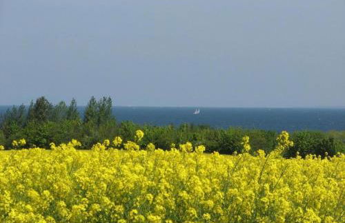 Quaint Bungalow Near Insel Poel With Garden - Foto 36