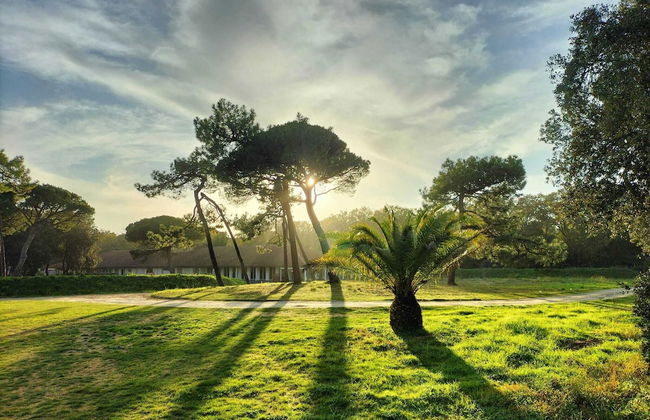 Les Salines - Photo 4