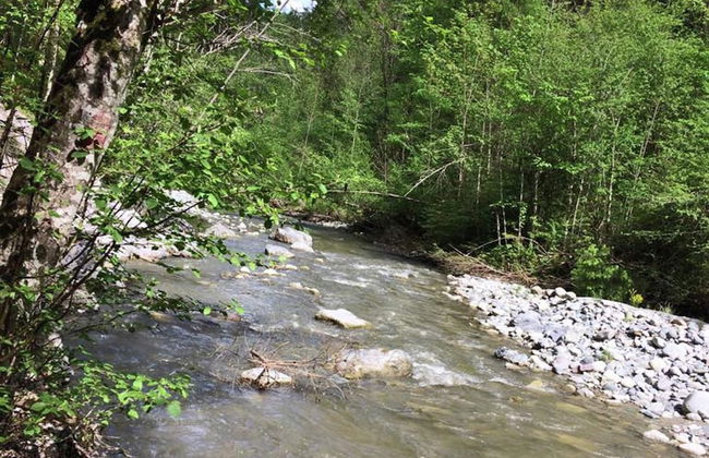 Cozy Apartment in Wenns With Garden - Foto 38