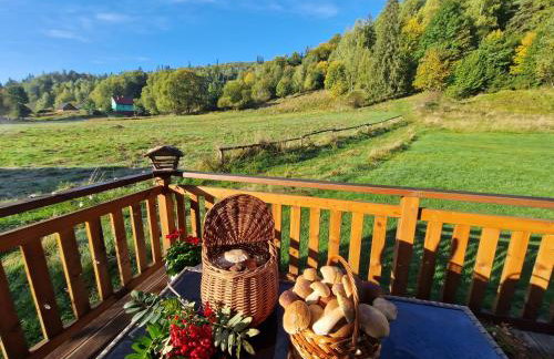 Górskie Siedlisko - 3 Chaty - Foto 12