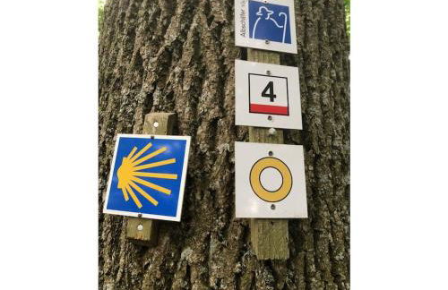 in Haus Kallenberg - Foto 28