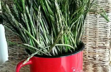 Waterfront Apartment - Foto 25