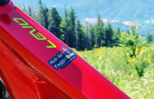 Nidi del faggio rosso - Family Holiday Home - Foto 41