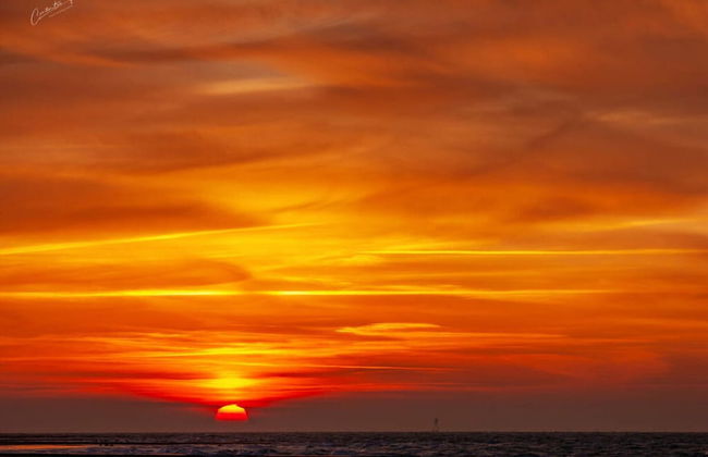 3 at House "pop" - Foto 18