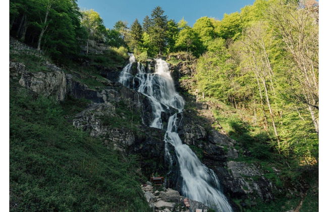 Huis Hochfirst Appartement 10 - Foto 12