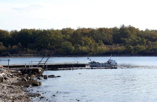 Family friendly house with a swimming pool Buroli, Umag - 22400 - Foto 6