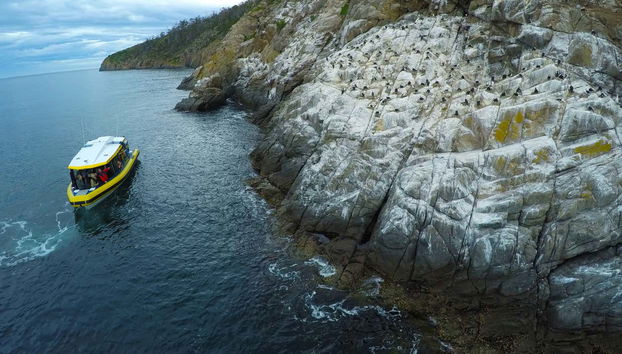 Skirting Tasmania's coastline