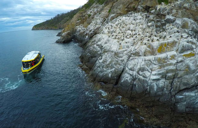 Balade en bateau sur la côte de Tasmanie - Photo 3