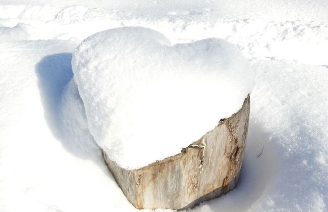 Fingerhut Comfortable Holiday Residence - Foto 18