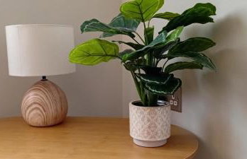 Martindale Close - 3 Bedrooms - Sleeps 5 - Photo 9