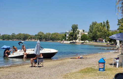 E&D Apartments - Photo 37