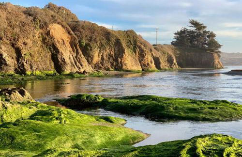 Sand Dollar Shore - Foto 38